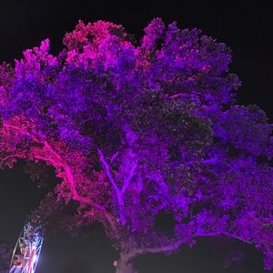 Meet your Posher, Sierra